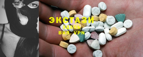 мдпв Новозыбков