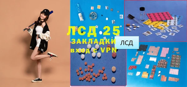 гидра Няндома