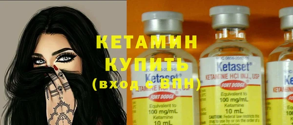 гидра Новодвинск