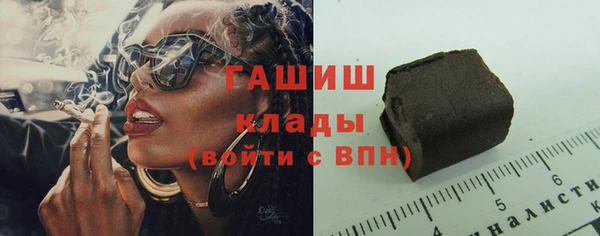 гидра Няндома
