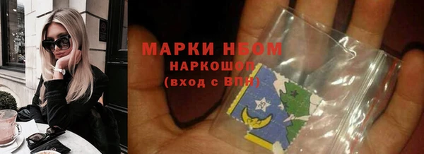 гидра Новодвинск