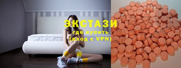 мдпв Новозыбков