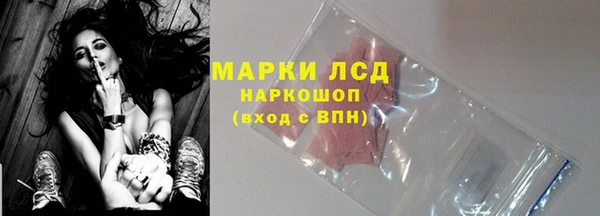 крисы Новокубанск