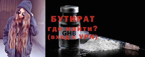 гидра Няндома