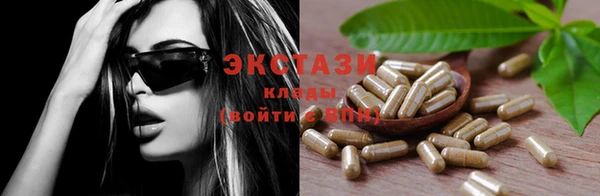 мдпв Новозыбков