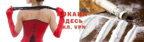 гидра Новодвинск