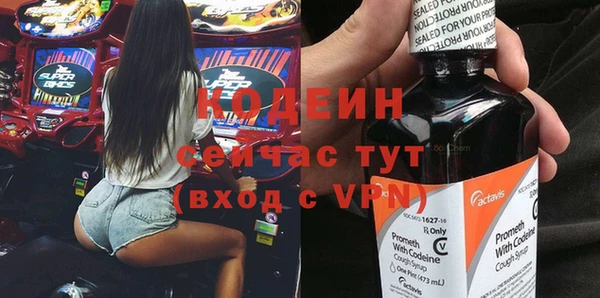 гидра Няндома