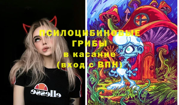 гидра Новодвинск