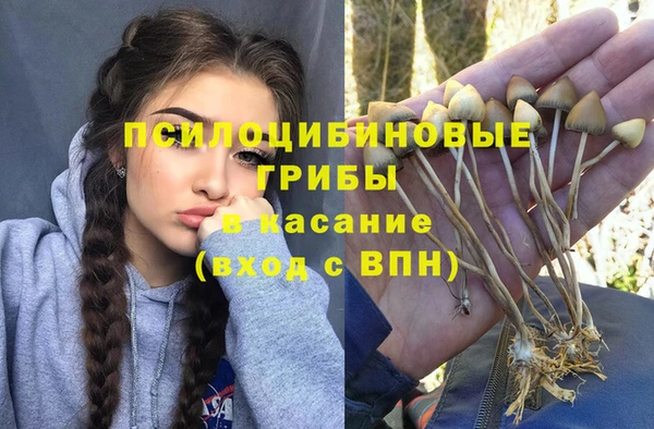 мдпв Новозыбков