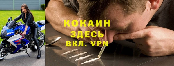 крисы Новокубанск