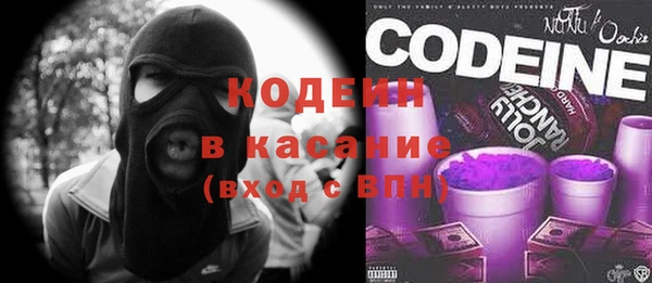крисы Новокубанск