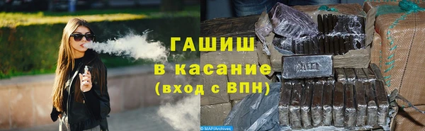 гидра Няндома