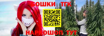 прущие крисы Будённовск