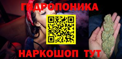 прущие крисы Будённовск